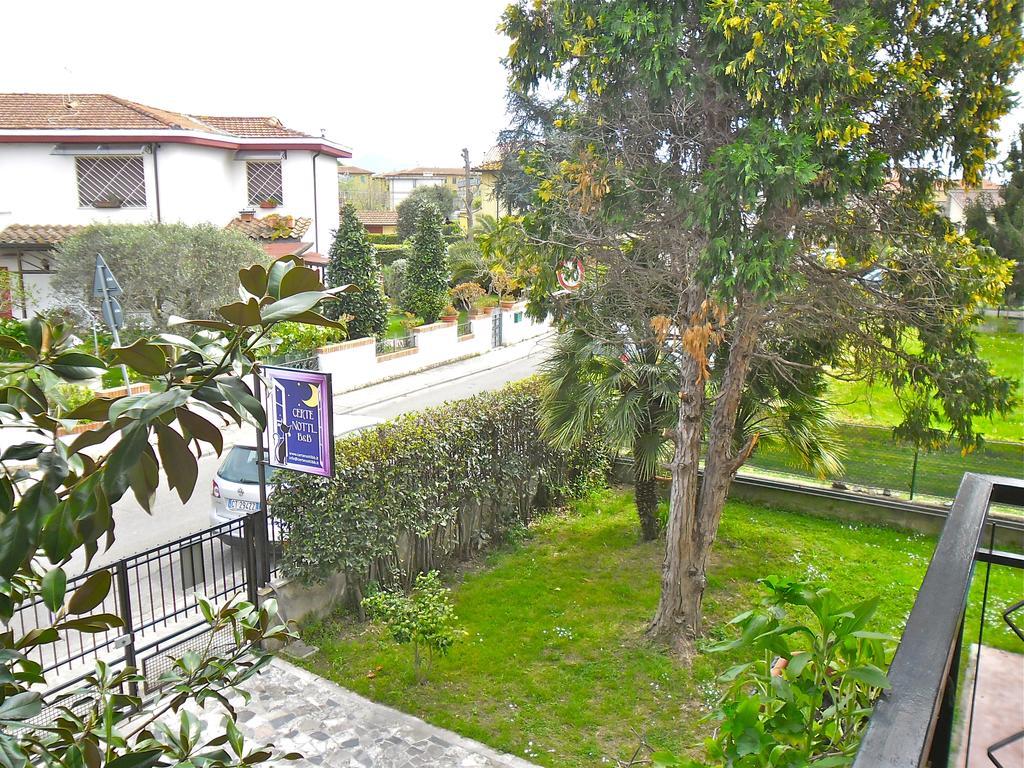 Certe Notti Bed & Breakfast Pisa Exterior foto