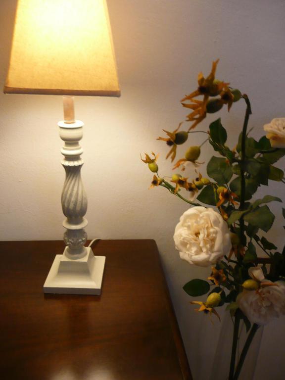 Certe Notti Bed & Breakfast Pisa Exterior foto