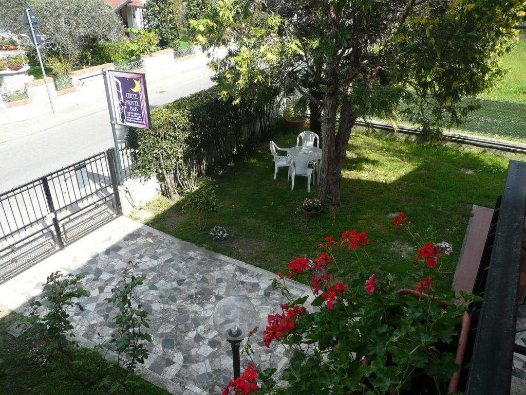 Certe Notti Bed & Breakfast Pisa Exterior foto